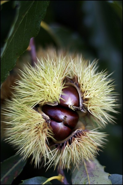 Cercando sempre il buono