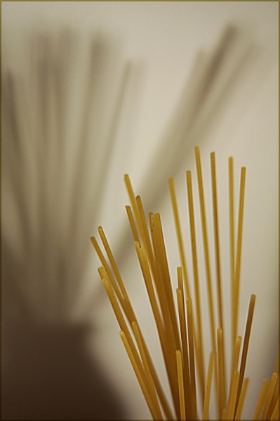 E se fossero dei fiori