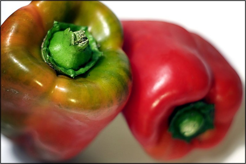 L'ispirazione nel frigorifero