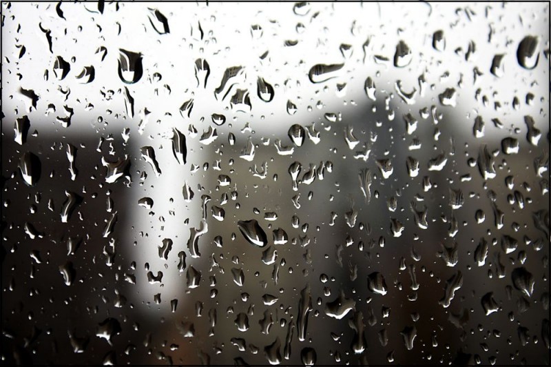 Guardando fuori dalle finestre Guardando fuori dalle finestre