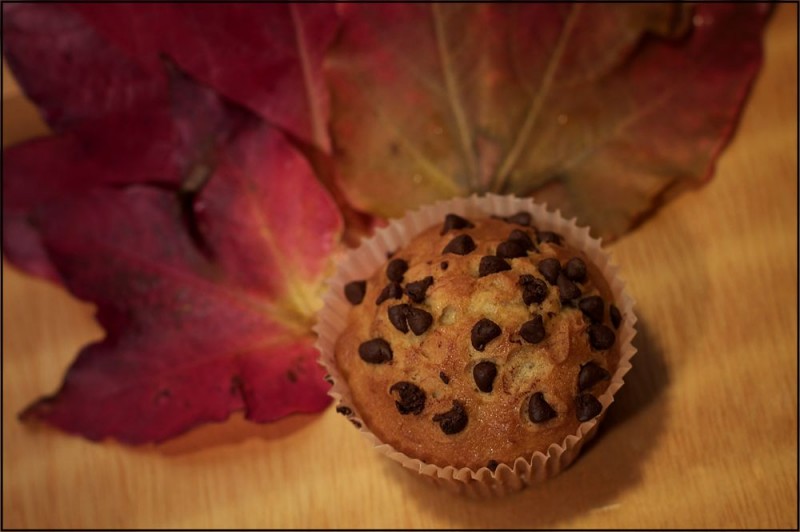 Le meraviglie dell'autunno