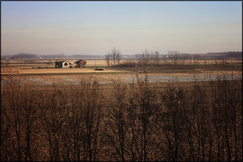 Alla ricerca della tranquillità