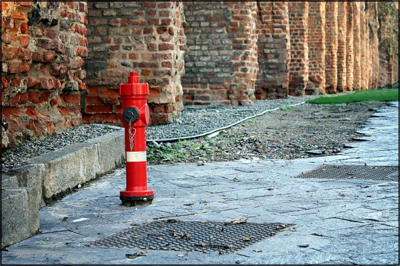 Chissà se si sente solo