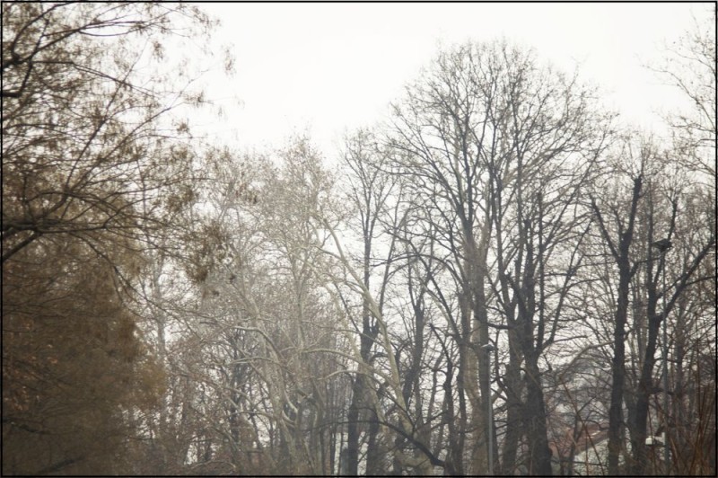 Prospettiva ancora poco definita