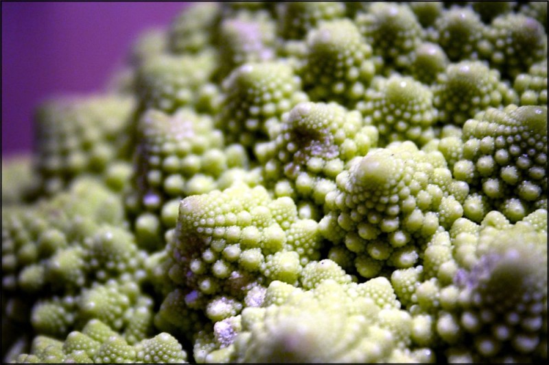 Sempre uguali e sempre diversi