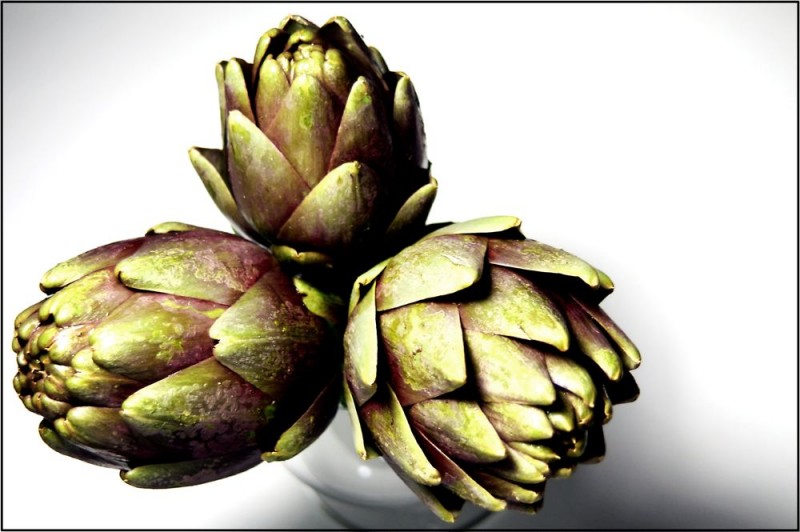 Fior di carciofo